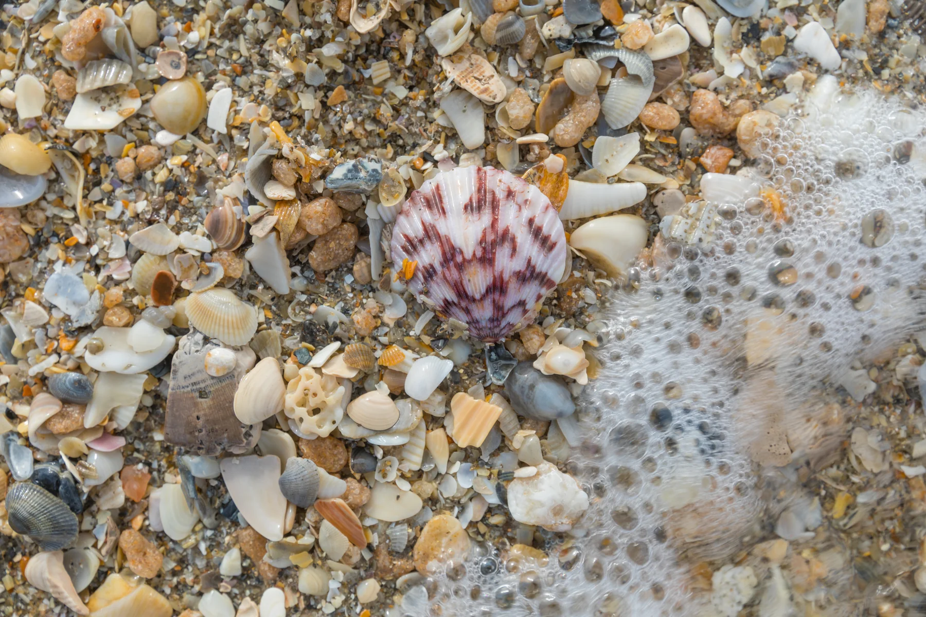 Coastal landscape photography by 321 Native Photography