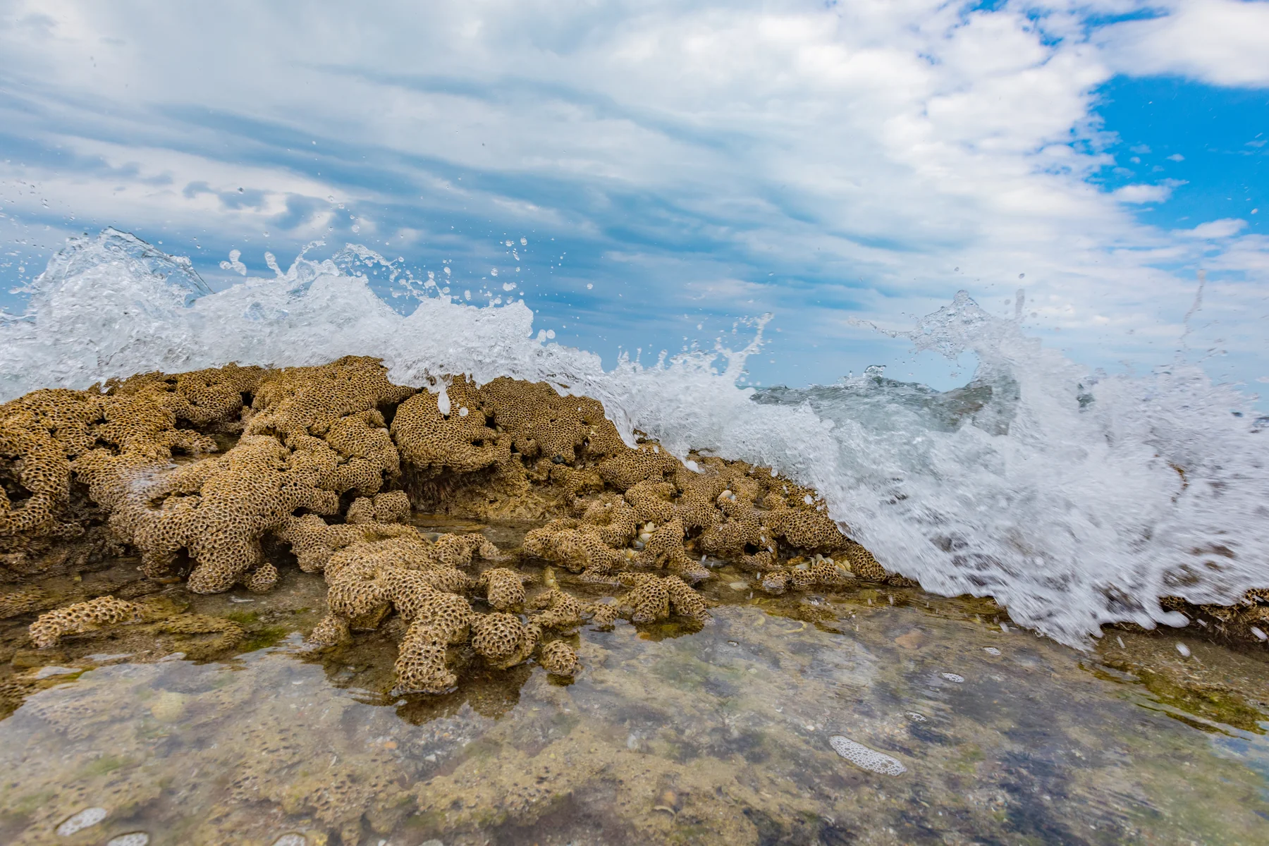 Coastal landscape photography by 321 Native Photography